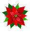 Poinsettia 6 Pot in Pune