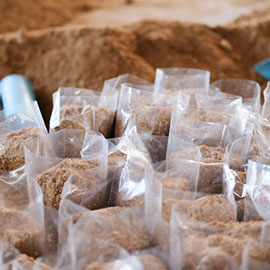 Cocopeat Coins in Pune,maharashtra