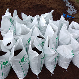 Cocopeat coins with organics bio peat in Pune
