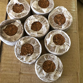 Cocopeat disc in Pune,maharashtra